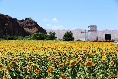 微软成为暴雪近三十年来第六个母公司 暴雪将起飞？