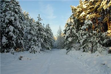 前《光环》开发人员开发免费UE5《光环》游戏
